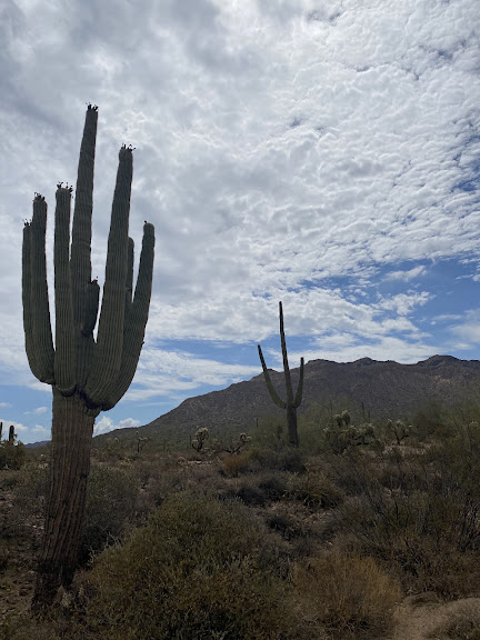 Rio Salado Sportsman's Club — Mesa, Arizona (2)