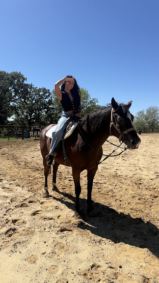 RNR Stables — Corinth, Texas (2)