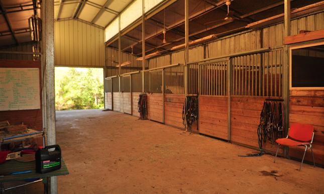 RNR Stables
