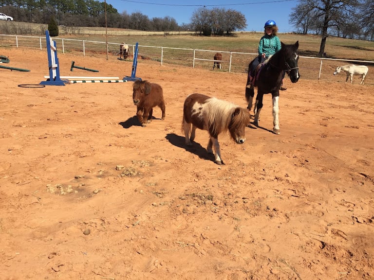 Robinsons ranch