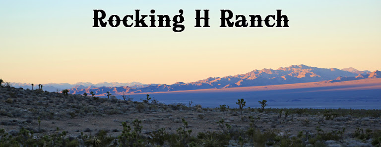 *Rocking H Ranch* — Equestrian venue in Nevada