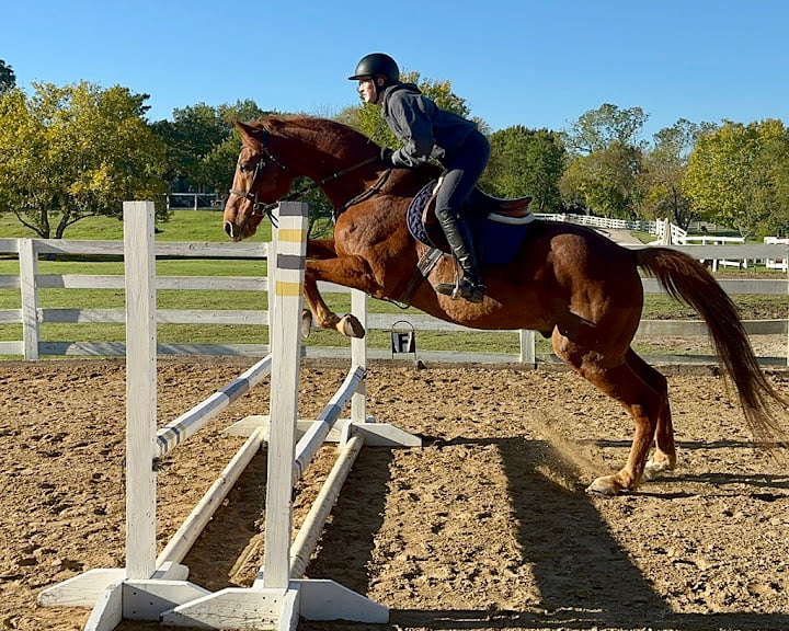 Rocking J Stables — Garland, Texas (2)