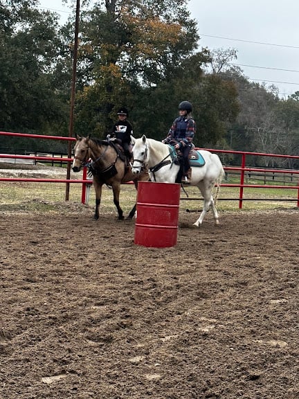 Rocking Me Stables