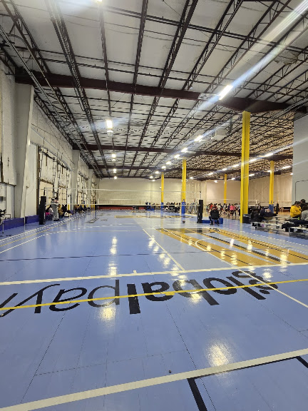 Rogue Volleyball