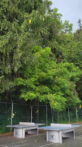 Roland Park Pool — Baltimore, Maryland (3)