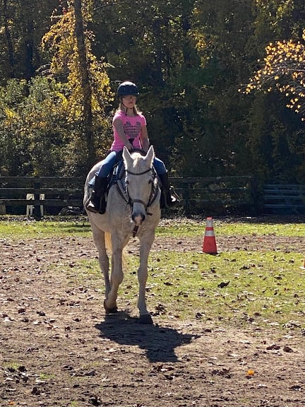 Rollin’ Jaxx Stables LLC