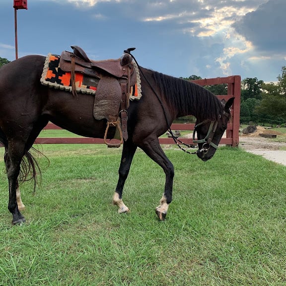 Rolling Hills Horse Ranch — Atlanta, Georgia (3)