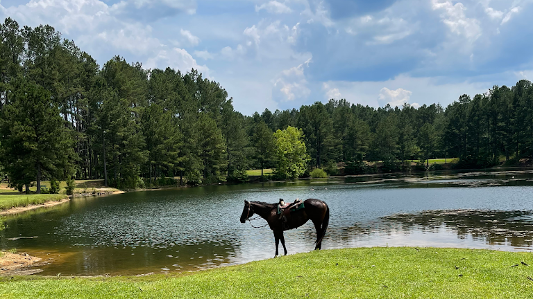 Rolling Hills Horse Ranch
