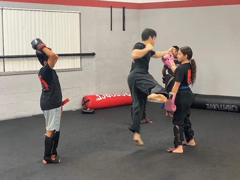 RONIN Martial Arts