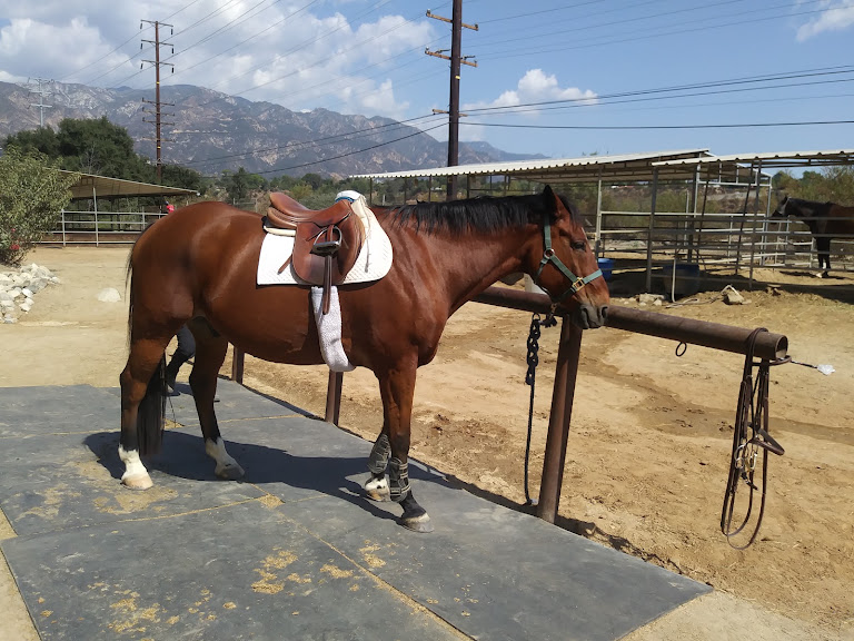 Rose Bowl Riders — La Cañada Flintridge, California (2)