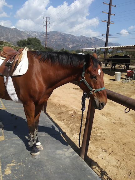 Rose Bowl Riders