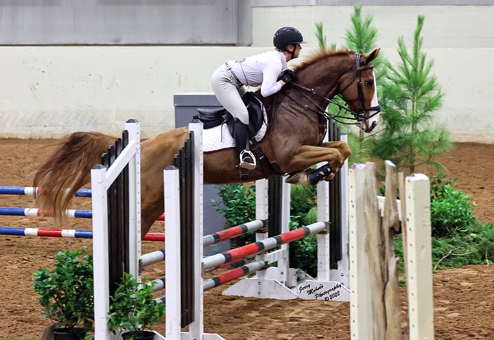 Rosepoint Sporthorses
