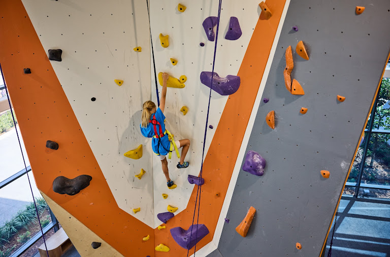 ROX Climbing Gym at LNPC