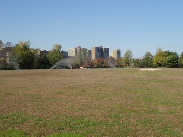 Roy A. Sweeney Cricket Oval — Cricket venue in Brooklyn, New York