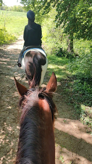 Royale Ranch — O'Fallon, Illinois (3)