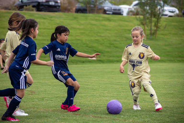RSL-AZ West Valley — Surprise, Arizona (2)