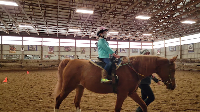 Rushlow's Arabian Farms — Romulus, Michigan (3)