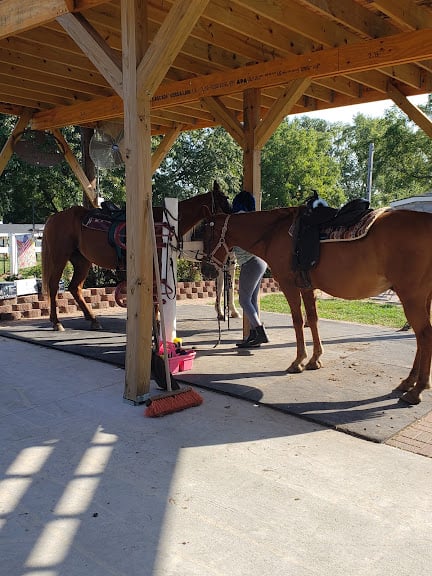 Saddle Creek Stables