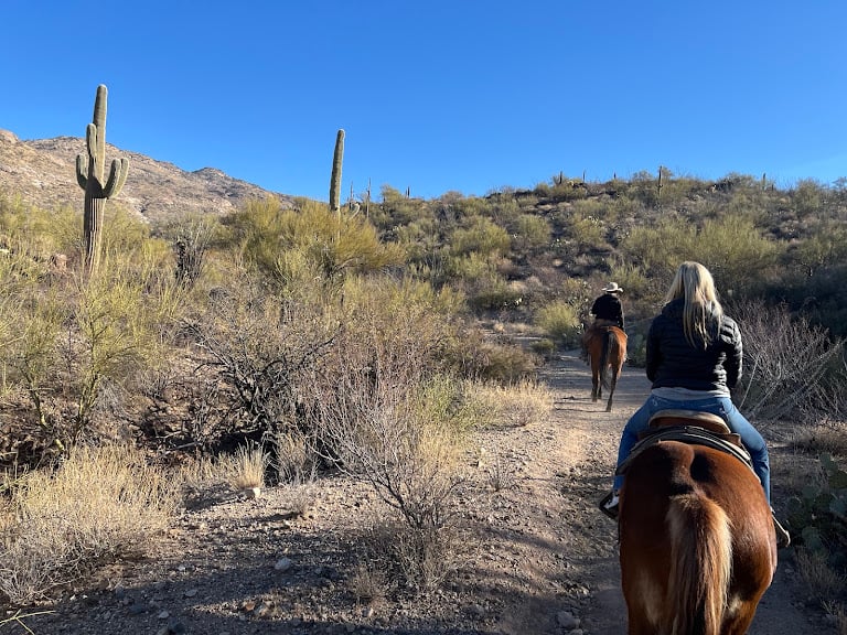Saguaro Stables — Tucson, Arizona (2)