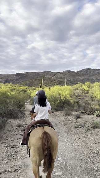 Saguaro Stables — Tucson, Arizona (3)