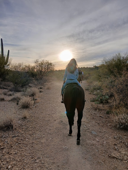 Saguaro Stables — Equestrian venue in Tucson, Arizona