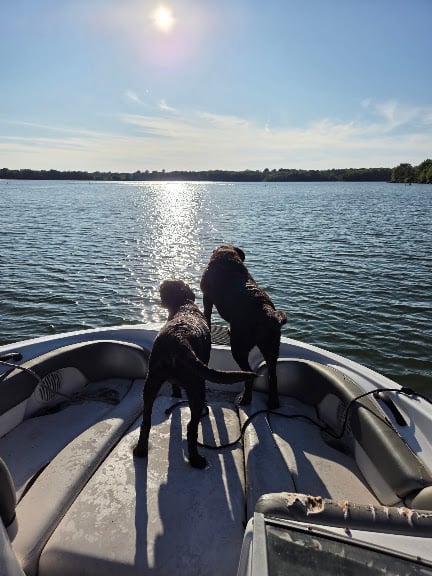 Sailboat Cove — Smithville, Missouri (2)