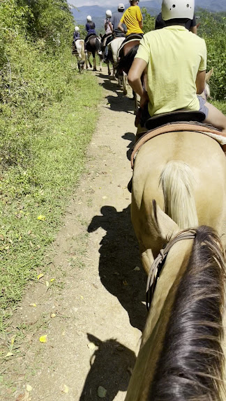Sandy Bottom Trail Rides — Marshall, North Carolina (3)