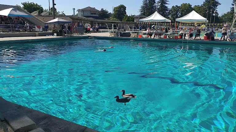 Santa Clara Swim Club — Santa Clara, California (3)