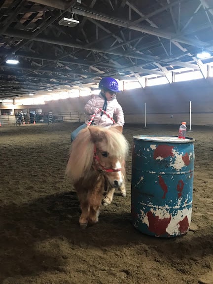 Sarah’s Pony Rides