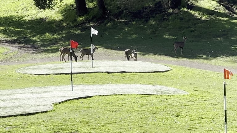 Saratoga Country Club — Saratoga, California (3)