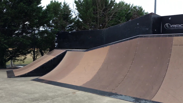 Schuyler Hamilton Jones Skateboard Park — Alexandria, Virginia (2)