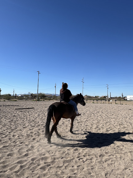 Second Chance Ranch — Surprise, Arizona (2)