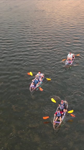 See Through Adventures - Clear Kayaking — St. Petersburg, Florida (3)