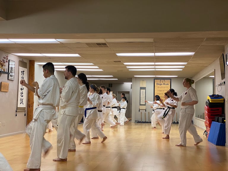 SEISHINKAN Karate on Main