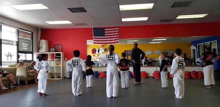 Sentinel Martial Arts — Arlington, Texas (2)