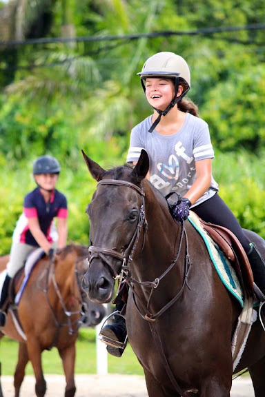 Serenity Show Stables — Miami, Florida (2)