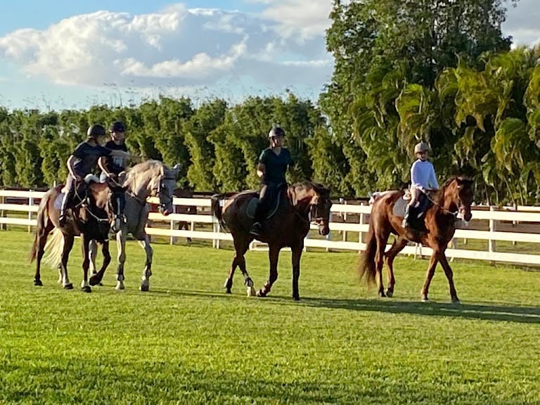 Serenity Show Stables — Miami, Florida (3)