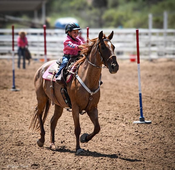 Serenity Stables
