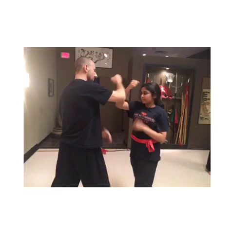 Shaolin Wu-Yi Institute — Plano, Texas (3)