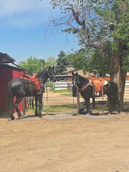 Shiloh Farms Equestrian Center