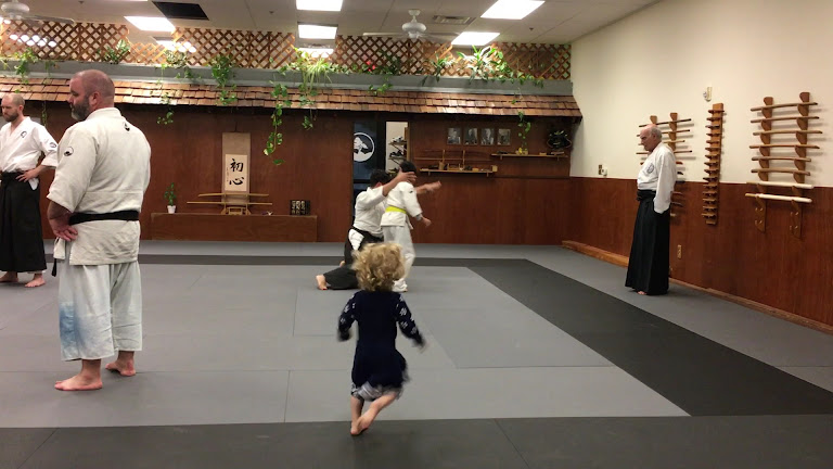 SHOSHINKAN - Las Vegas Martial Arts — Las Vegas, Nevada (3)