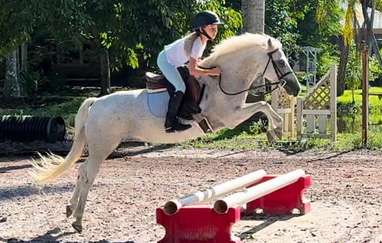 Showboat Stables L.L.C.