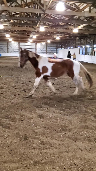 Silver Buckle Youth Equestrian Center — Brush Prairie, Washington (2)