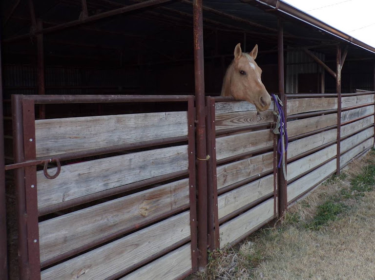 Silver Creek Stables — Equestrian venue in Fort Worth, Texas