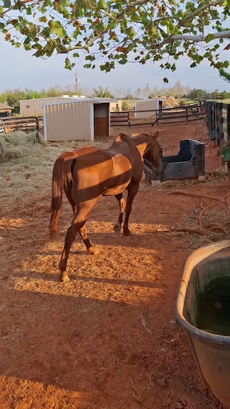 Silver Wind Stables — Edmond, Oklahoma (2)