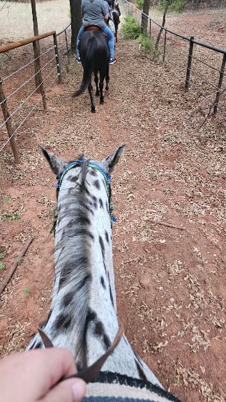 Silver Wind Trail Rides — Edmond, Oklahoma (2)