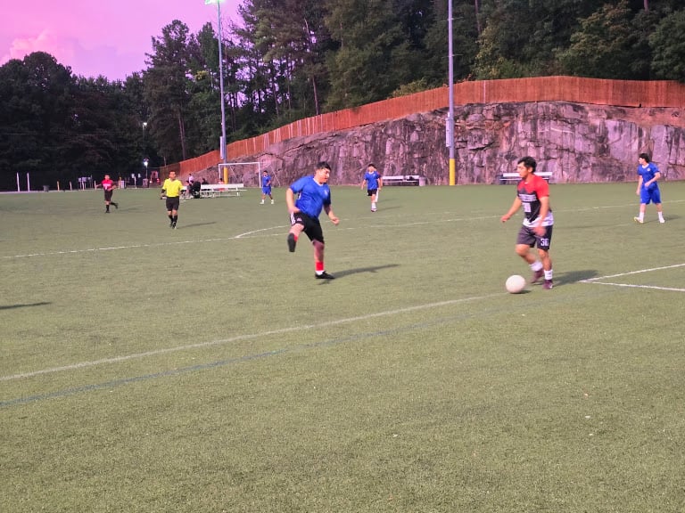 Silverbacks Park — Atlanta, Georgia (2)