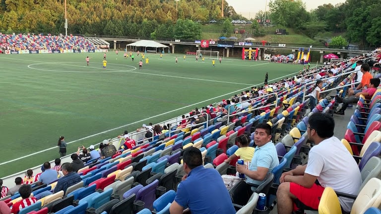 Silverbacks Park — Atlanta, Georgia (3)