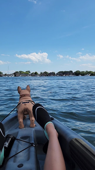 Simple Adventures - Kayaking and Paddleboarding — Harrison Township, Michigan (3)