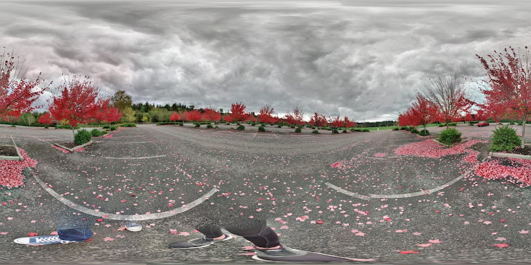 Sixty Acres Park — Redmond, Washington (2)